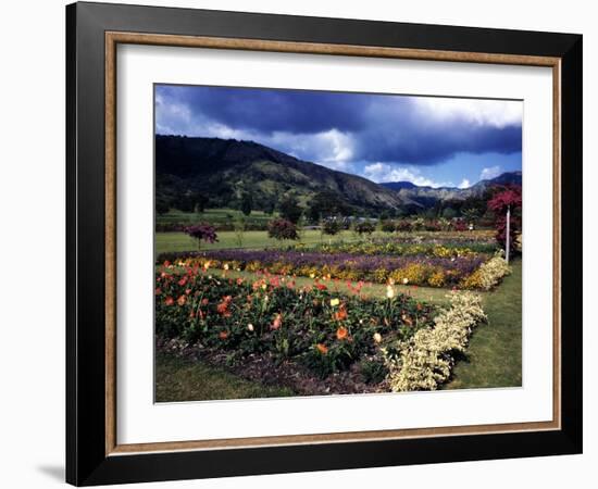 December 1946: the Royal Botanic Gardens, Usually Called Hope Gardens, in Kingston, Jamaica-Eliot Elisofon-Framed Photographic Print