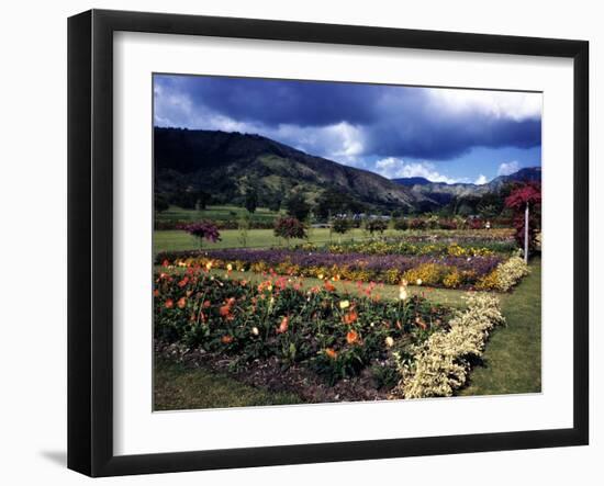 December 1946: the Royal Botanic Gardens, Usually Called Hope Gardens, in Kingston, Jamaica-Eliot Elisofon-Framed Photographic Print