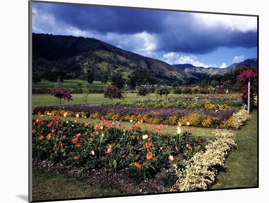 December 1946: the Royal Botanic Gardens, Usually Called Hope Gardens, in Kingston, Jamaica-Eliot Elisofon-Mounted Photographic Print