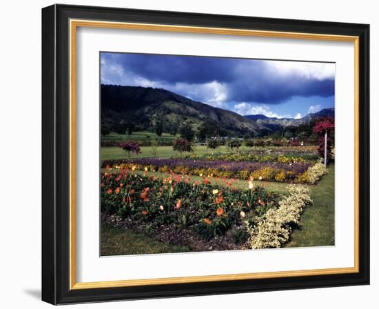 December 1946: the Royal Botanic Gardens, Usually Called Hope Gardens, in Kingston, Jamaica-Eliot Elisofon-Framed Photographic Print