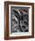 December 1946: Tropical Fish Caught by Local Fishermen in Montego Bay, Jamaica-Eliot Elisofon-Framed Photographic Print