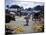 December 1946: Vendors at an Open Air Market at Petionville, Haiti-Eliot Elisofon-Mounted Photographic Print