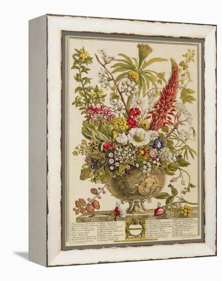 December, from 'twelve Months of Flowers' by Robert Furber (C.1674-1756) Engraved by Henry Fletcher-Pieter Casteels-Framed Premier Image Canvas