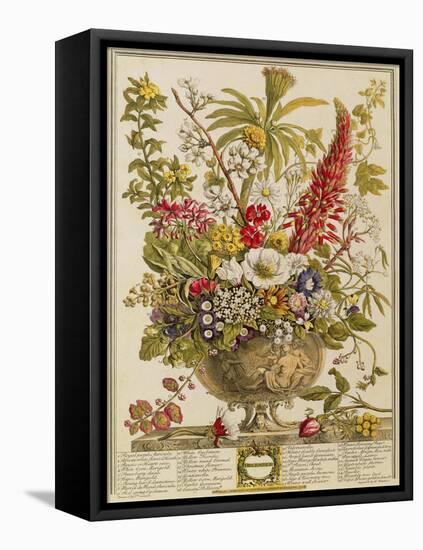 December, from 'twelve Months of Flowers' by Robert Furber (C.1674-1756) Engraved by Henry Fletcher-Pieter Casteels-Framed Premier Image Canvas