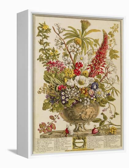 December, from 'twelve Months of Flowers' by Robert Furber (C.1674-1756) Engraved by Henry Fletcher-Pieter Casteels-Framed Premier Image Canvas