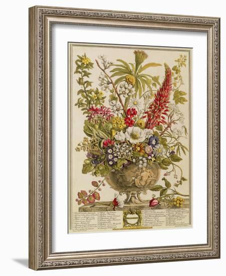 December, from 'twelve Months of Flowers' by Robert Furber (C.1674-1756) Engraved by Henry Fletcher-Pieter Casteels-Framed Giclee Print