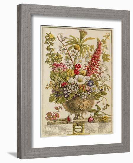 December, from 'twelve Months of Flowers' by Robert Furber (C.1674-1756) Engraved by Henry Fletcher-Pieter Casteels-Framed Giclee Print