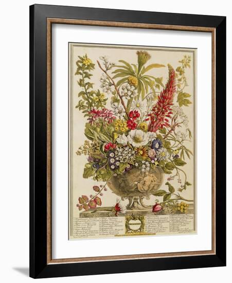 December, from 'twelve Months of Flowers' by Robert Furber (C.1674-1756) Engraved by Henry Fletcher-Pieter Casteels-Framed Giclee Print