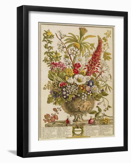 December, from 'twelve Months of Flowers' by Robert Furber (C.1674-1756) Engraved by Henry Fletcher-Pieter Casteels-Framed Giclee Print