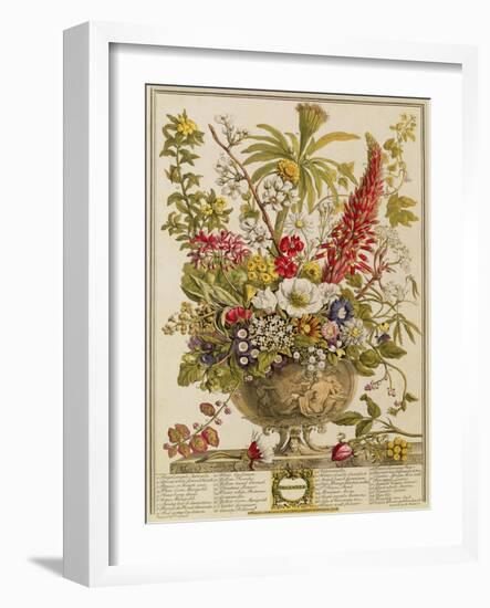 December, from 'twelve Months of Flowers' by Robert Furber (C.1674-1756) Engraved by Henry Fletcher-Pieter Casteels-Framed Giclee Print