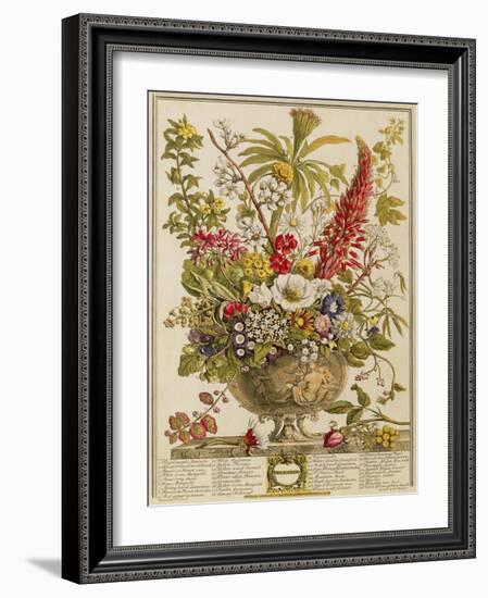 December, from 'twelve Months of Flowers' by Robert Furber (C.1674-1756) Engraved by Henry Fletcher-Pieter Casteels-Framed Giclee Print