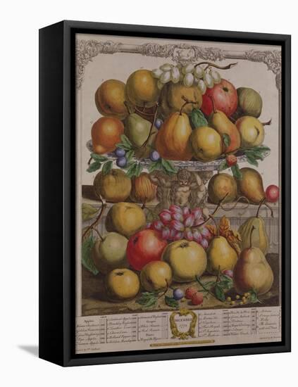 December, from 'Twelve Months of Fruits'-Pieter Casteels-Framed Premier Image Canvas