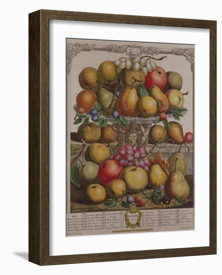 December, from 'Twelve Months of Fruits'-Pieter Casteels-Framed Giclee Print