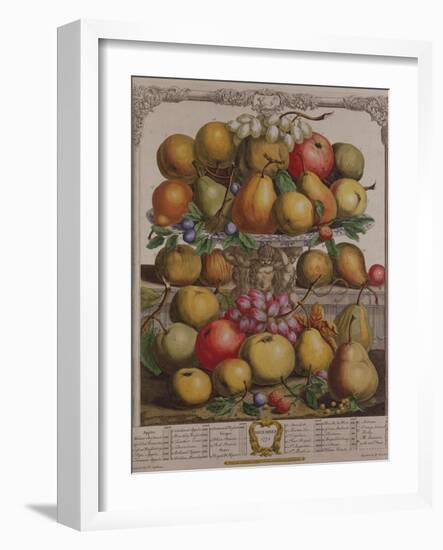 December, from 'Twelve Months of Fruits'-Pieter Casteels-Framed Giclee Print