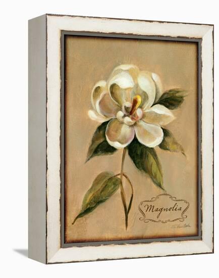 December Magnolia Vintage-Silvia Vassileva-Framed Stretched Canvas