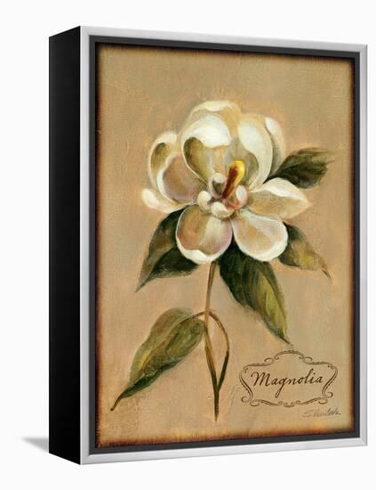 December Magnolia Vintage-Silvia Vassileva-Framed Stretched Canvas