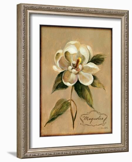 December Magnolia Vintage-Silvia Vassileva-Framed Art Print