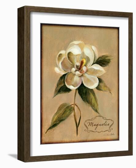 December Magnolia Vintage-Silvia Vassileva-Framed Art Print