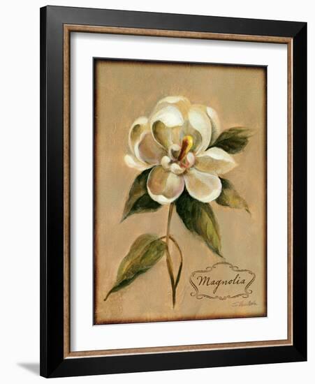 December Magnolia Vintage-Silvia Vassileva-Framed Art Print