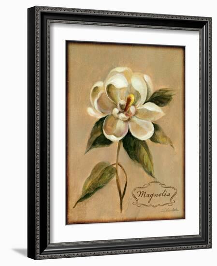 December Magnolia Vintage-Silvia Vassileva-Framed Art Print