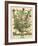 December-Robert Furber-Framed Giclee Print