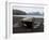 Deception Island, South Shetlands, Antarctic, Polar Regions-Thorsten Milse-Framed Photographic Print