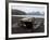 Deception Island, South Shetlands, Antarctic, Polar Regions-Thorsten Milse-Framed Photographic Print