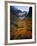 Deciduous Beech on Tasmania's West Coast Range, Tasmania, Australia-Rob Blakers-Framed Photographic Print