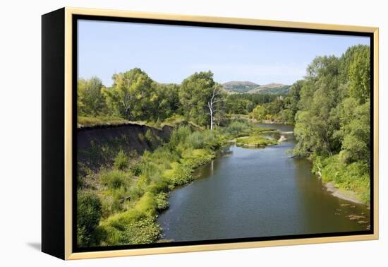 Deciduous Forest in River Sakmara Valley-Andrey Zvoznikov-Framed Premier Image Canvas