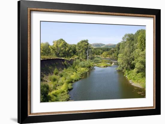 Deciduous Forest in River Sakmara Valley-Andrey Zvoznikov-Framed Photographic Print