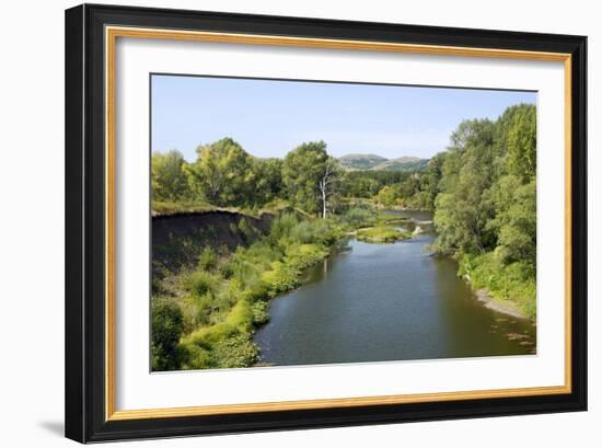 Deciduous Forest in River Sakmara Valley-Andrey Zvoznikov-Framed Photographic Print