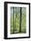 Deciduous forest with green leaves in the spring with sunshine-Axel Killian-Framed Photographic Print