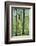 Deciduous forest with green leaves in the spring with sunshine-Axel Killian-Framed Photographic Print