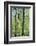 Deciduous forest with green leaves in the spring with sunshine-Axel Killian-Framed Photographic Print