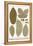 Deciduous Leaves from Various Plants-Albertus Seba-Framed Stretched Canvas