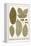 Deciduous Leaves from Various Plants-Albertus Seba-Framed Stretched Canvas