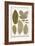 Deciduous Leaves from Various Plants-Albertus Seba-Framed Art Print