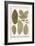 Deciduous Leaves from Various Plants-Albertus Seba-Framed Art Print