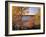 Deciduous Trees, Lake, Autumn-Thonig-Framed Photographic Print