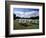 Deckchairs in Regents Park, London, England, United Kingdom-Adam Swaine-Framed Photographic Print