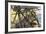 Deckhands in Action on the USS "Constitution" Against the "Levant and Cyane," War of 1812-null-Framed Giclee Print