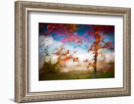 Deconstructed Fall 1-Ursula Abresch-Framed Photographic Print