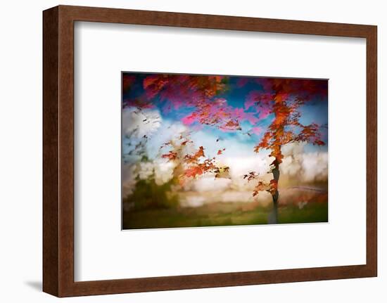 Deconstructed Fall 1-Ursula Abresch-Framed Photographic Print