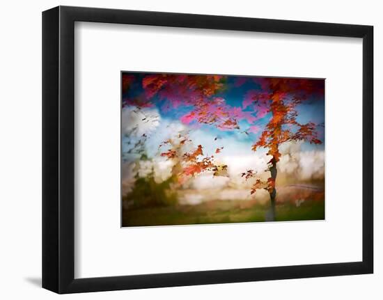 Deconstructed Fall 1-Ursula Abresch-Framed Photographic Print