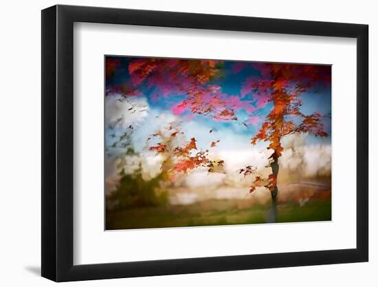 Deconstructed Fall 1-Ursula Abresch-Framed Photographic Print