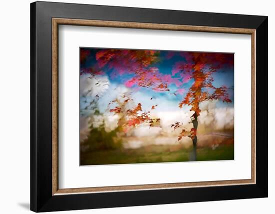 Deconstructed Fall 1-Ursula Abresch-Framed Photographic Print