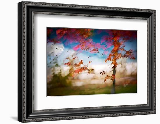 Deconstructed Fall 1-Ursula Abresch-Framed Photographic Print