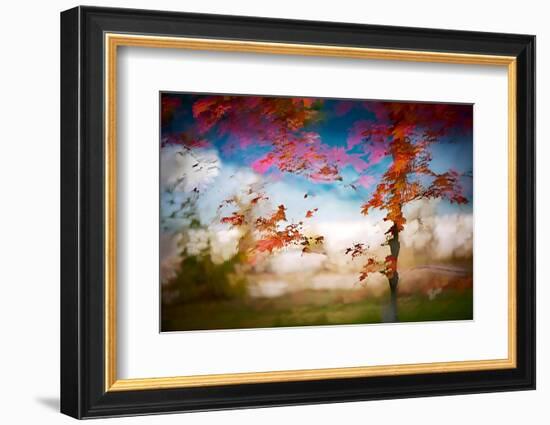 Deconstructed Fall 1-Ursula Abresch-Framed Photographic Print