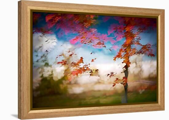 Deconstructed Fall 1-Ursula Abresch-Framed Premier Image Canvas