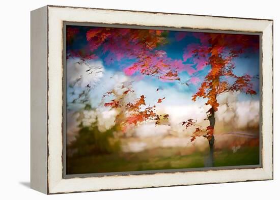 Deconstructed Fall 1-Ursula Abresch-Framed Premier Image Canvas